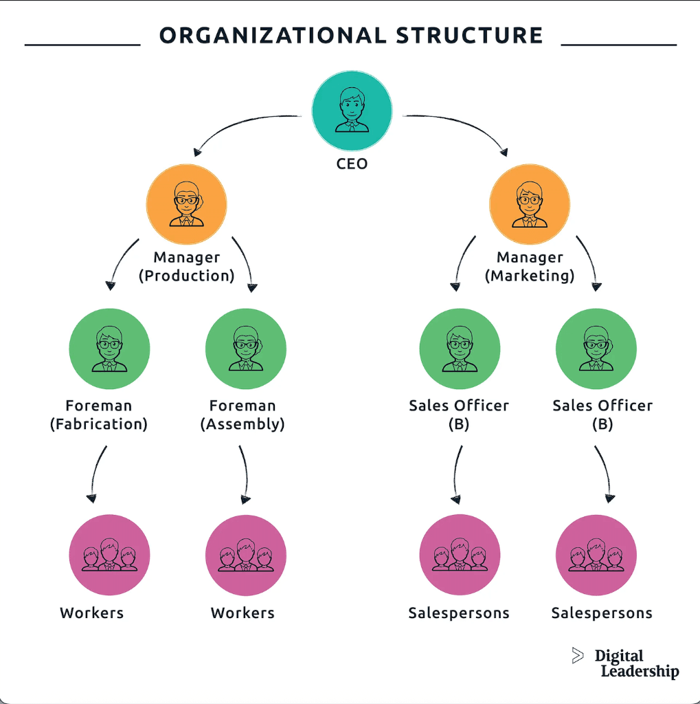 Business and Other Management Consulting