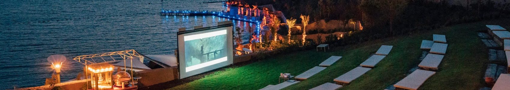 pexels-quark-studio-1159039-2507025